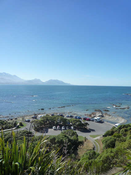 Ｐ９２-００８Ｆ