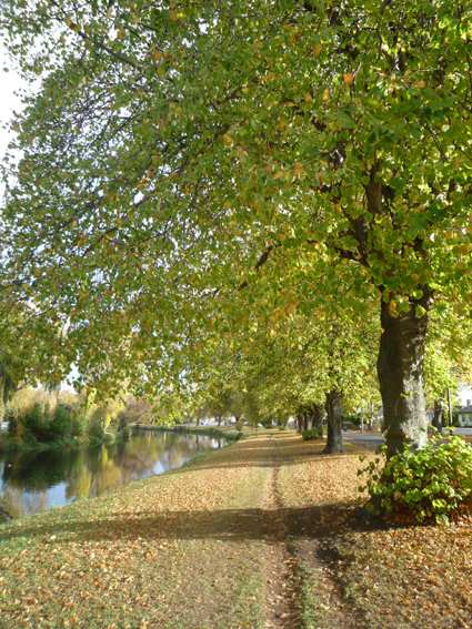 Ｐ９４-０６６Ｆ