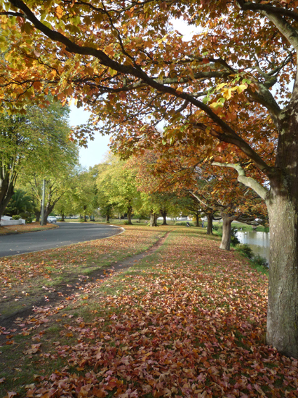 Ｐ９４-０７２Ｆ