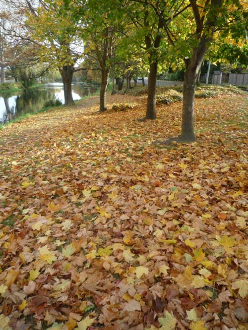 Ｐ９４-０７３Ｆ