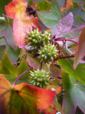 Ｐ９４-０７６Ｆ