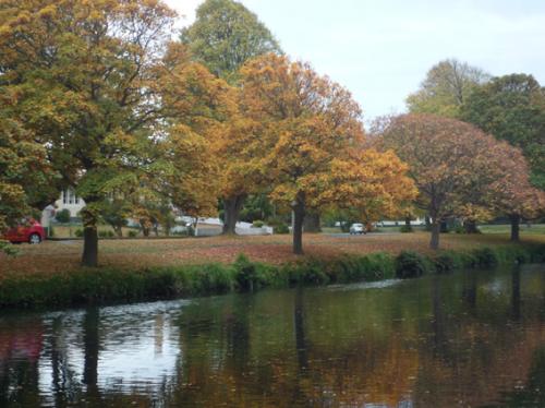 Ｐ９４-０８５Ｆ