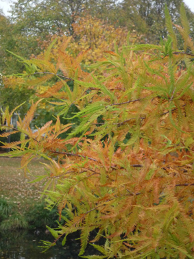 Ｐ９４-０９０Ｆ