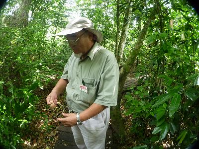 ガイドさんの説明。