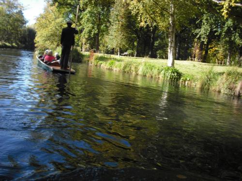 むこうからやってくるパンティング