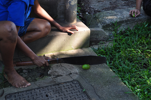 フィジー　トレッキング