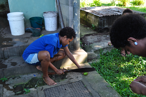 フィジー　トレッキング