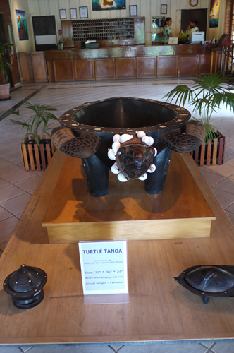 カバ用カメ　レセプション