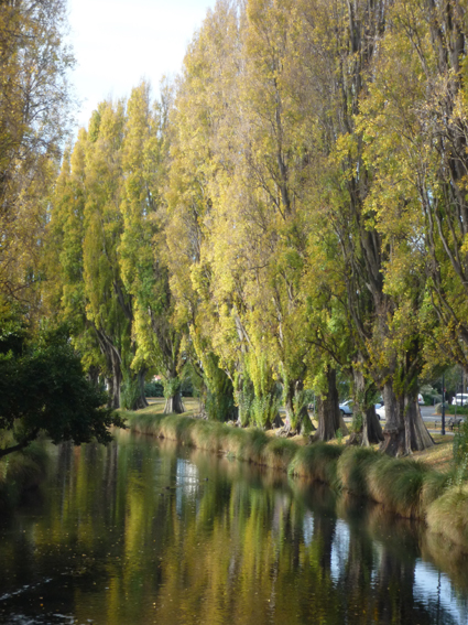 Ｐ９５-０４９Ｆ