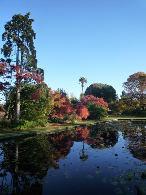 Ｐ９５-０５７Ｆ