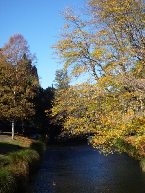 Ｐ９５-０６１Ｆ