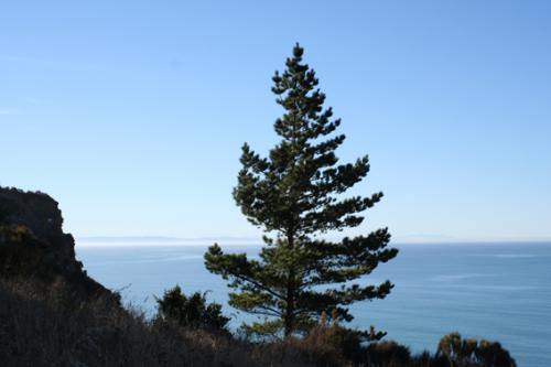 Ｐ９５-０８７Ｆ