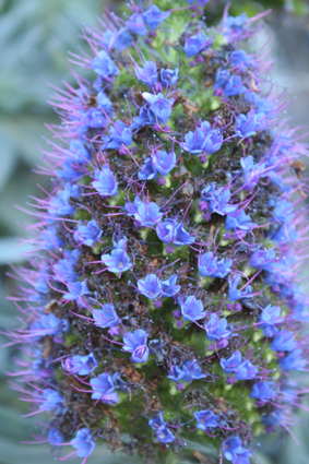 Ｐ９５-０９０Ｆ