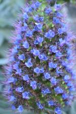 Ｐ９５-０９０Ｆ