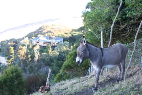 Ｐ９５-１０７Ｆ