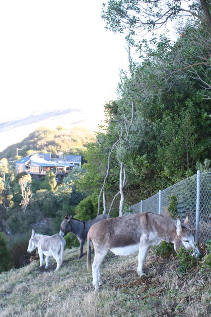 Ｐ９５-１１０Ｆ