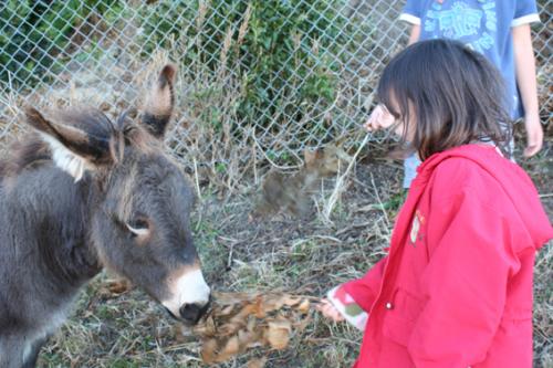 Ｐ９５-１１２Ｆ