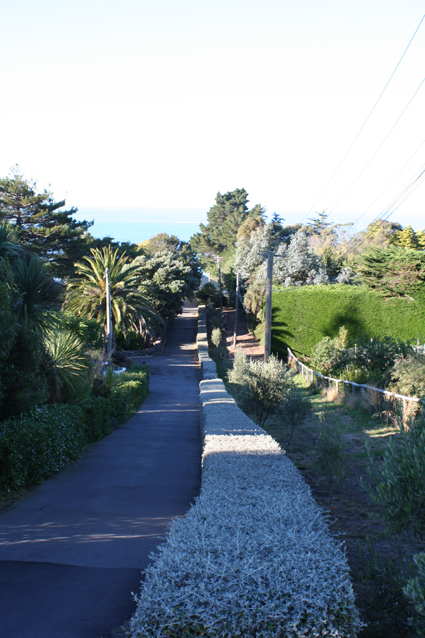 Ｐ９５-１１６Ｆ