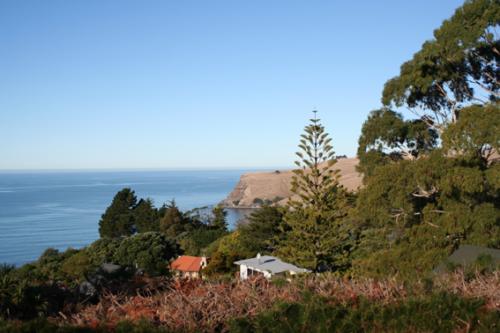 Ｐ９５-１１８Ｆ