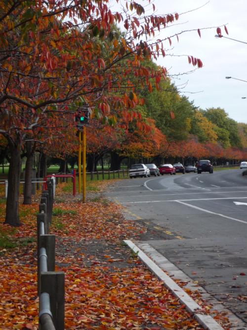 Ｐ９６-０７９Ｆ