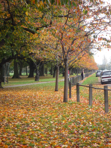 Ｐ９６-０８０Ｆ