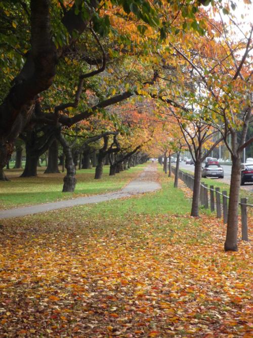 Ｐ９６-０８３Ｆ