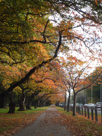 Ｐ９６-０８５Ｆ