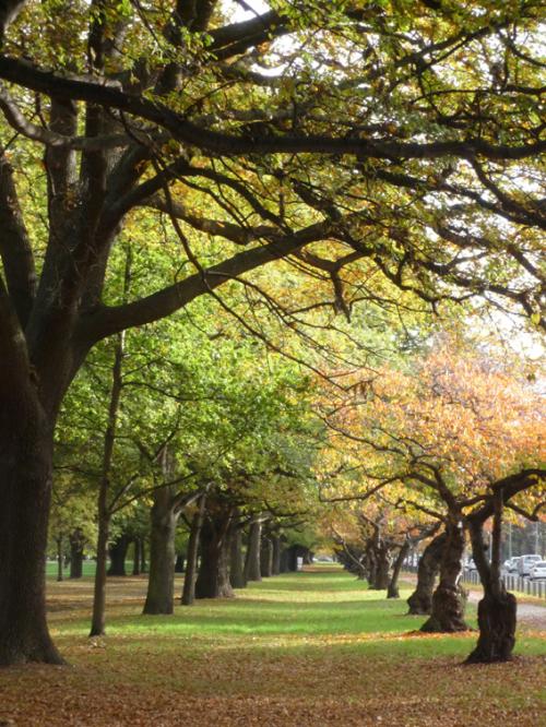 Ｐ９６-０８６Ｆ