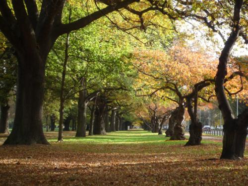 Ｐ９６-０８８Ｆ