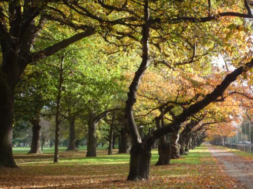 Ｐ９６-０８９Ｆ