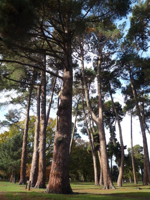 Ｐ９６-１００Ｆ