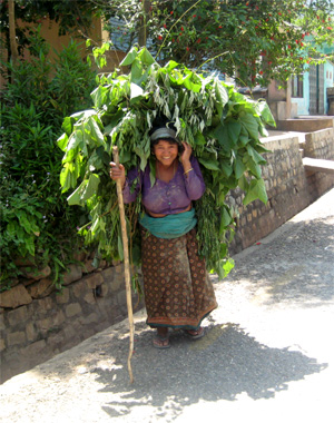タフなおばちゃん。笑顔かわいい！