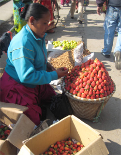 いちご　11月から4月ごろまでが旬