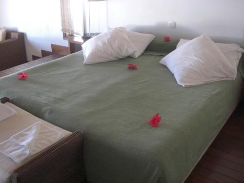 パラディドウベア