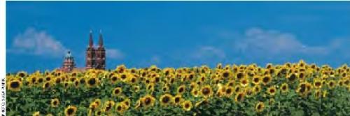 春の伝統行事「リェリェ」(女王の行列)