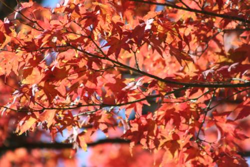 Ｐ６４-０６９Ｆ