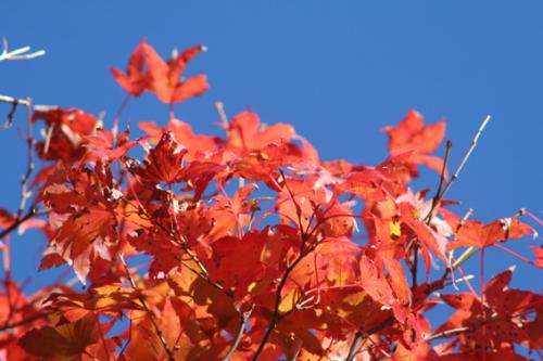 Ｐ６４-１００Ｆ