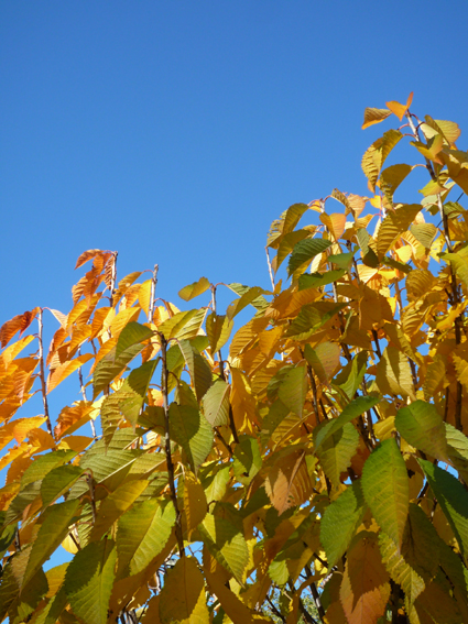 Ｐ９７-０７２Ｆ