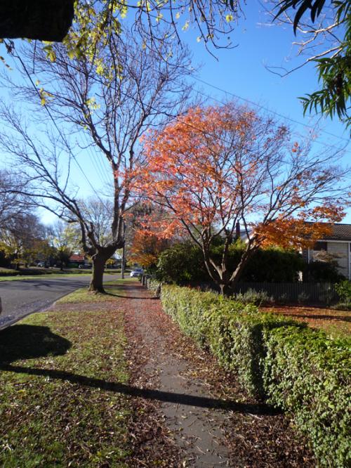 Ｐ９７-０７５Ｆ