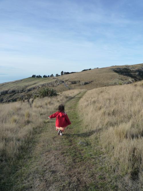 Ｐ９７-０８２Ｆ