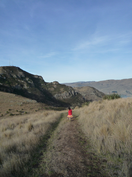 Ｐ９７-０８３Ｆ