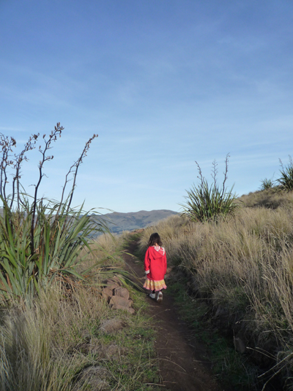 Ｐ９７-０８５Ｆ