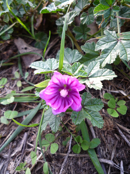 Ｐ９７-０９２Ｆ