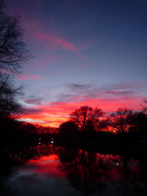 Ｐ９７-１０４Ｆ