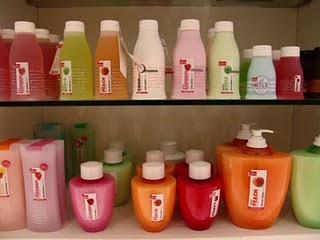 フィレンツェ　ホームステイ