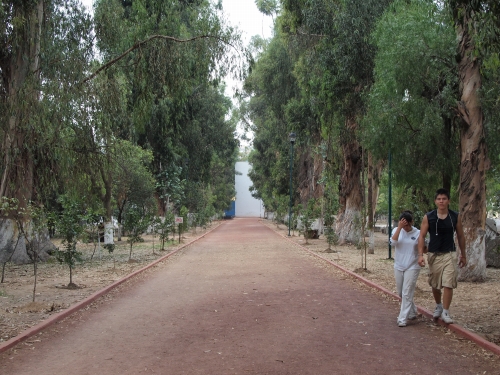 べべロデ噴水への道