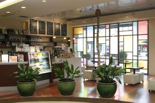 ミヤコ ホテル カフェ