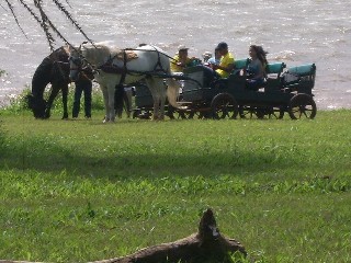 馬車で園内周遊