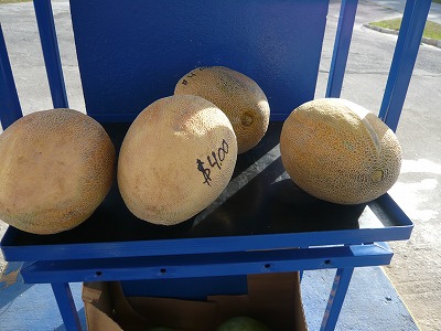 ロタ島のガソリンスタンド