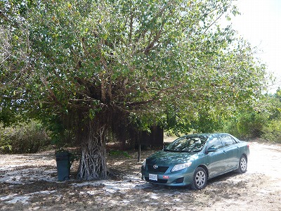 ソンソン展望台